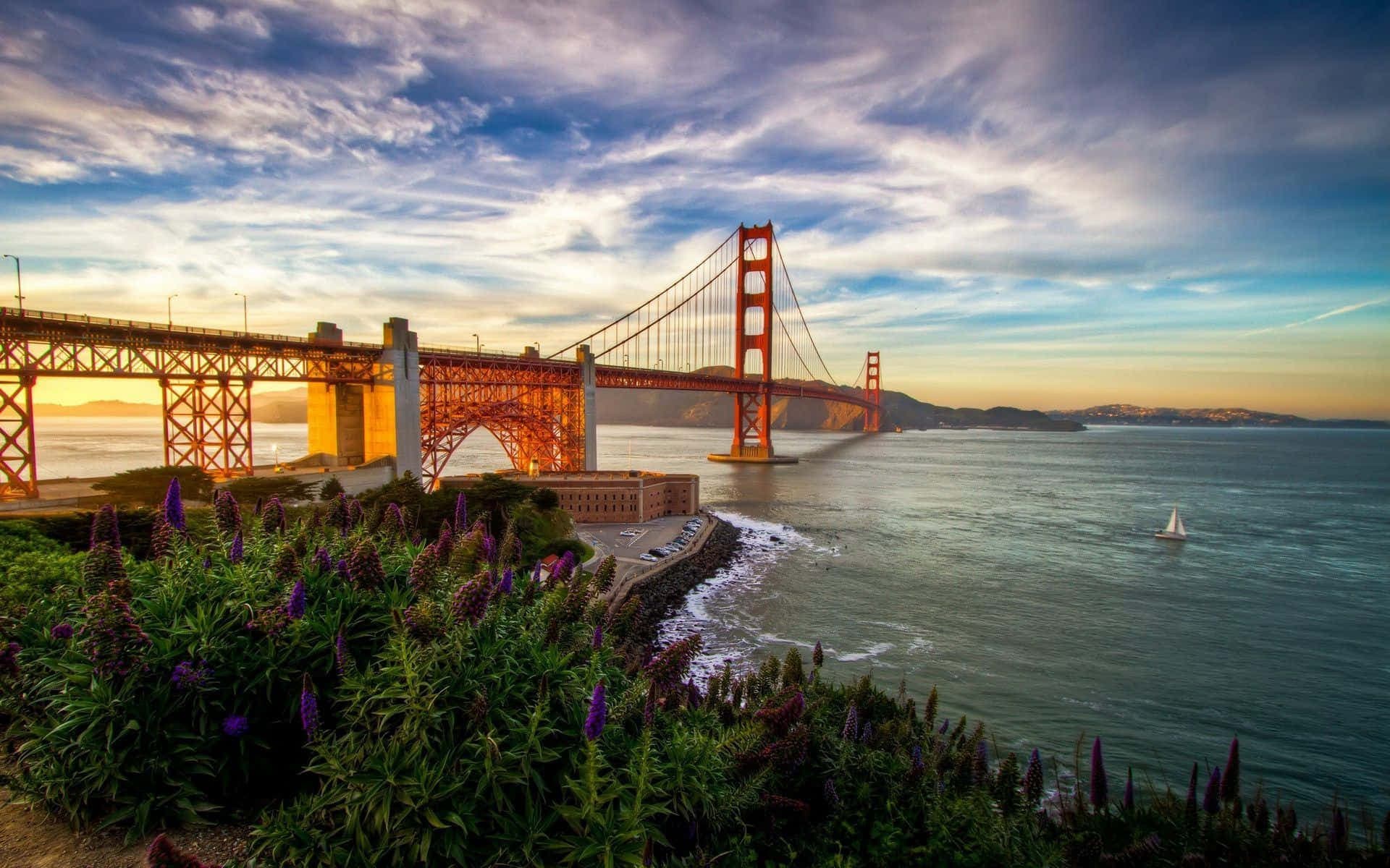 California landscape
